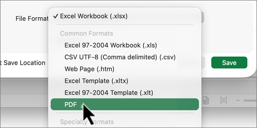 Screenshot of Mac file type selection.