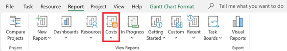 Costs button on the Report tab