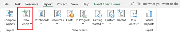 New Report button on the Report tab