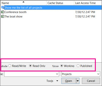 Open dialog box showing project web app files