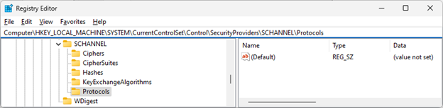 Screenshot of the Registry Editor window showing Protocols folder