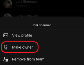 iOS make team owner