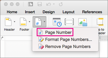 On the Header & Footer tab, click Page Number on the Page Number menu to add a page number.