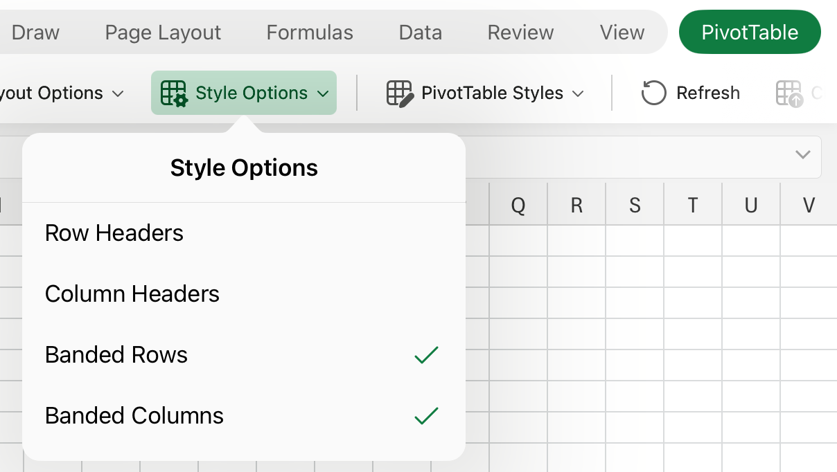 Style Options dropdown on iPad