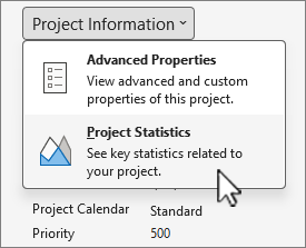 Project Information options