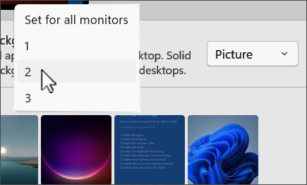 Screenshot showing personalized multiple monitor choices