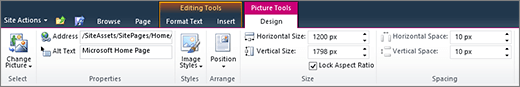 The picture tools tab lets you set size, style, position, and alt text on images.