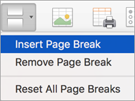 Options on the Breaks menu