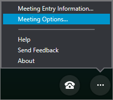 More options menu with Meeting options seleccted