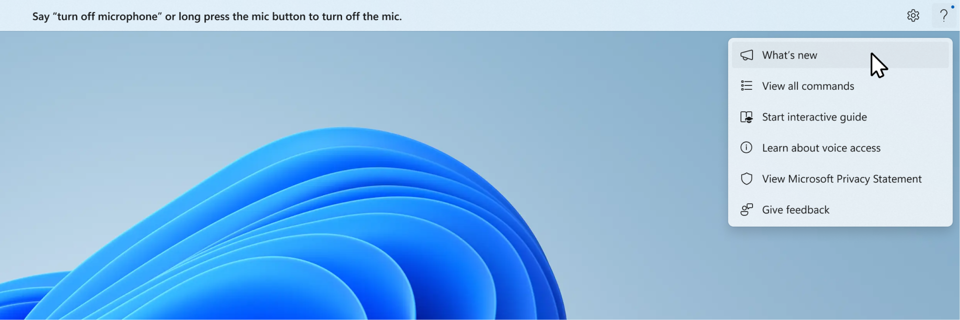 Setting menu on voice access bar with What's new and other options.