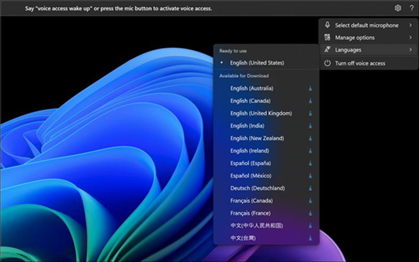 Screen of languages list opened to select one for Voice access support.