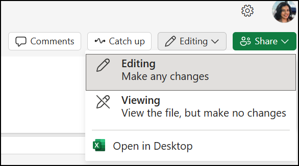 Edit in Excel button
