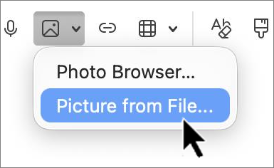 Insert picture screenshot.